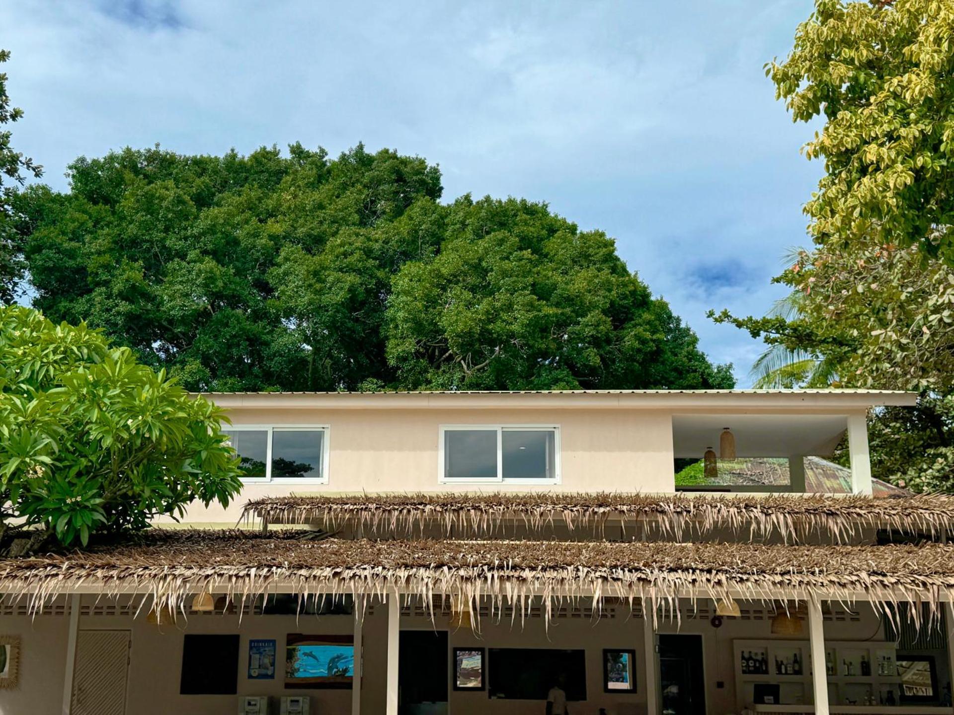 Blue Turtle Hotel Samui Chaweng  Rom bilde