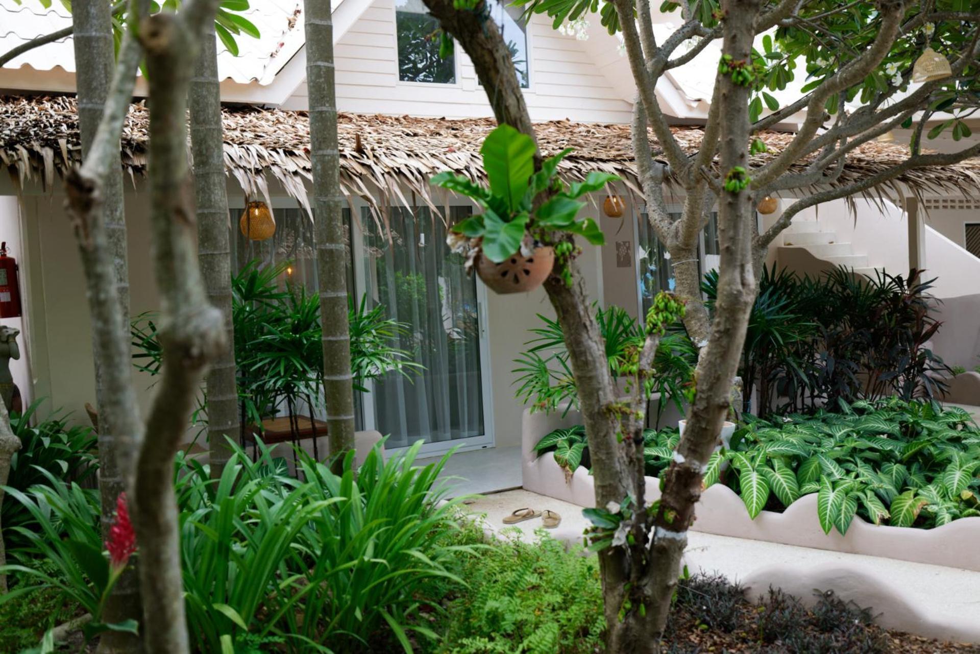 Blue Turtle Hotel Samui Chaweng  Rom bilde